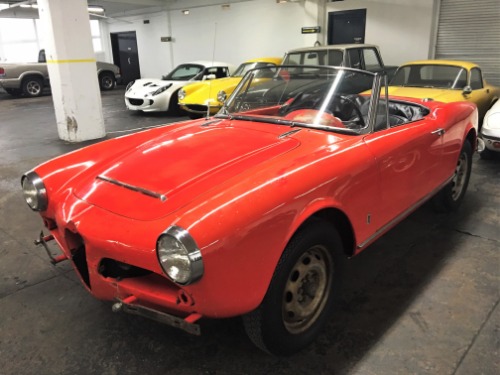 Used 1965 Alfa Romeo Giulia Spider 1600