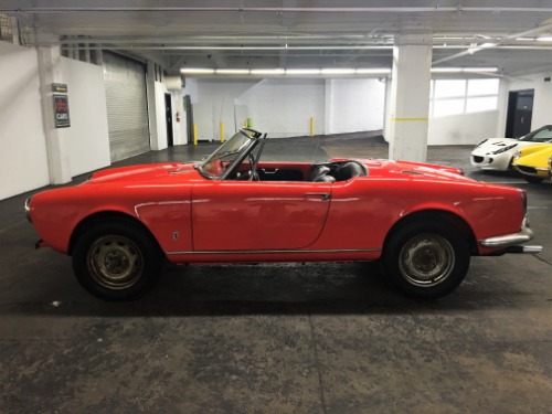 Used 1965 Alfa Romeo Giulia Spider 1600