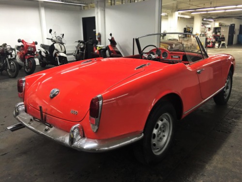 Used 1965 Alfa Romeo Giulia Spider 1600