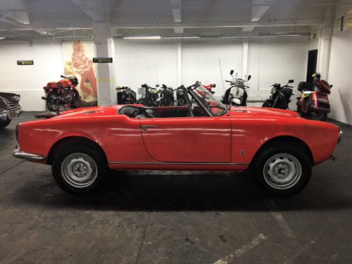 Used 1965 Alfa Romeo Giulia Spider 1600