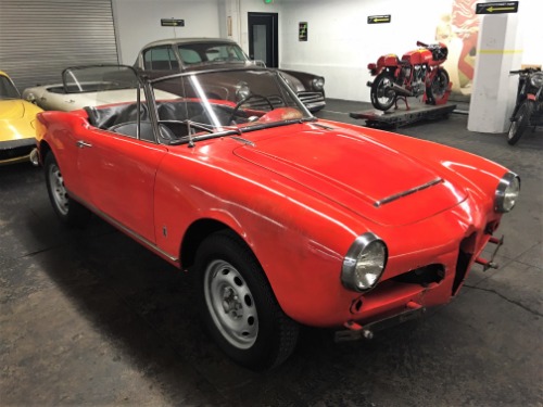 Used 1965 Alfa Romeo Giulia Spider 1600